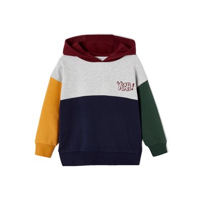 Sweat a capuche multicolore La Redoute