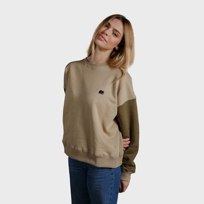 Sweat manches longues en coton bio OVERSIZED COLOR BLOCK TRENDSPLANT