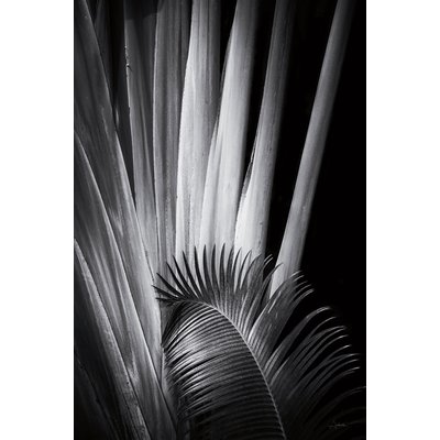 Tableau fleurs Marbella palm HEXOA