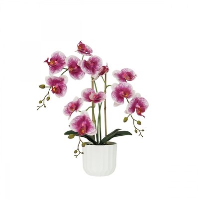 Orchidée artificielle blanc-fuchsia 50cm LIGNE DECO