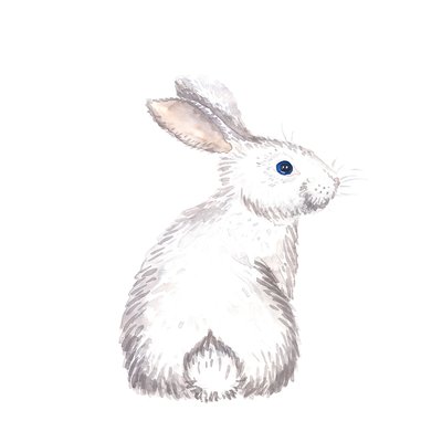 Tableau enfants pour le lapinou HEXOA