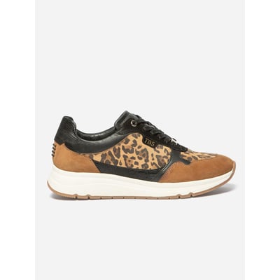 Baskets BLONDIE TBS