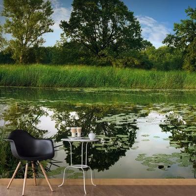 Papier peint intissé panoramique Paysage The Magic Pond EDEN