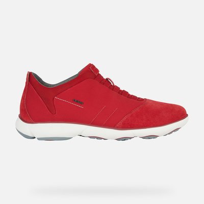 Baskets respirantes Nebula GEOX