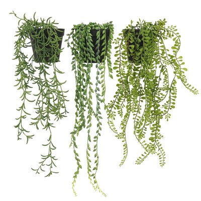 Plante succulente retombante artificielle 40/60cm lot de 3 LIGNE DECO