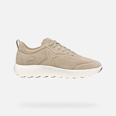 Baskets  U XTORS GEOX