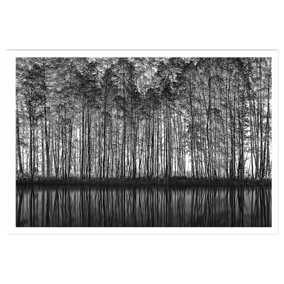 Affiche nature pointillisme HEXOA
