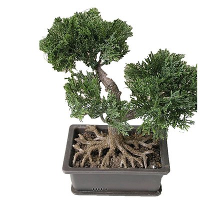 Mini bonsai artificiel en pot H 18,5 c ARTIFICIELLES