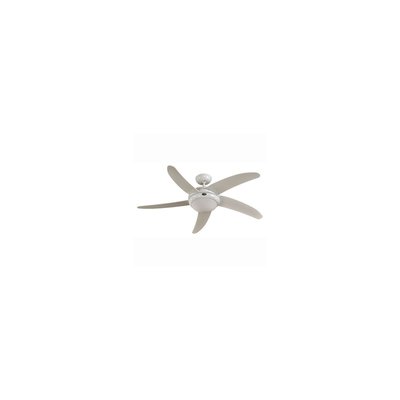 Ventilateur  Plafond  ELICA BOUTICA-DESIGN