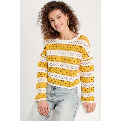 Pull ajouré effet crochet CACHE CACHE