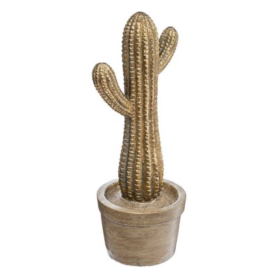 Cactus ATMOSPHERA