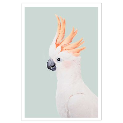 Affiche enfant cockatoo HEXOA