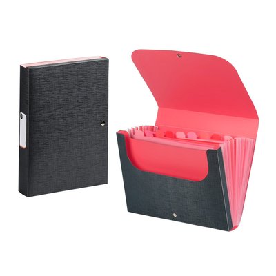 Trieur accordéon 11 compartiments en plastique avec rabat OFFICE DESIGN VIQUEL