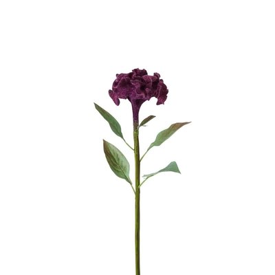Tige de celosia artificielle H53 SIA DECO