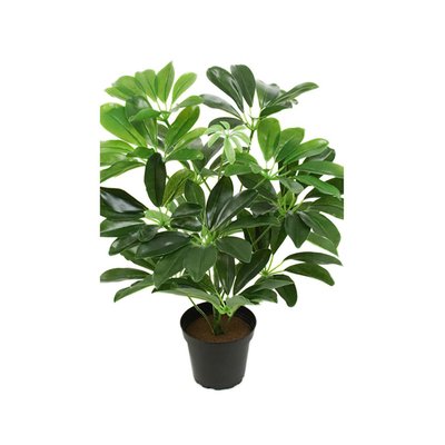 Schefflera factice en pot plante verte H40cm ARTIFICIELLES