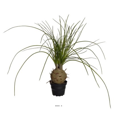 Palmier Beaucarnea artificiel en pot H 45 cm ARTIFICIELLES