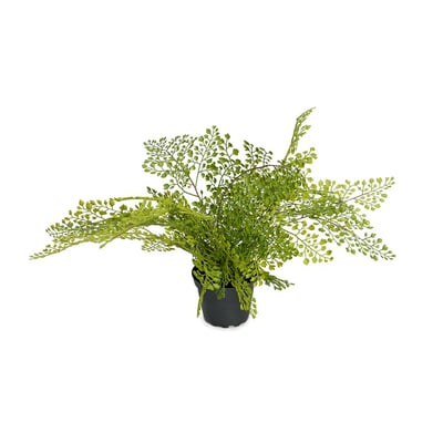 Adiantum plante verte artificielle en pot ARTIFICIELLES