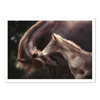 Affiche d’art et cadre noir 30 x 40 cm - The Bond - Heike Willers WALL EDITIONS