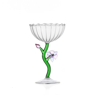 Coupe à champagne  BOTANICA orchid ICHENDORF