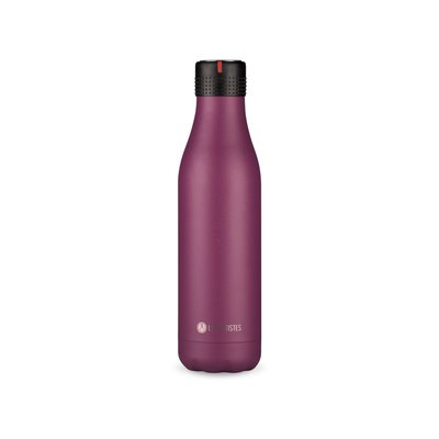 Bouteille isotherme Violet P. 750ml LES ARTISTES PARIS
