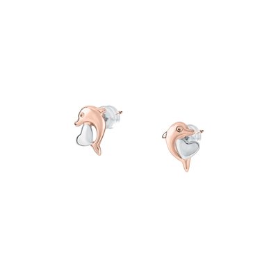 Boucles d'oreilles en or 375 CLEOR