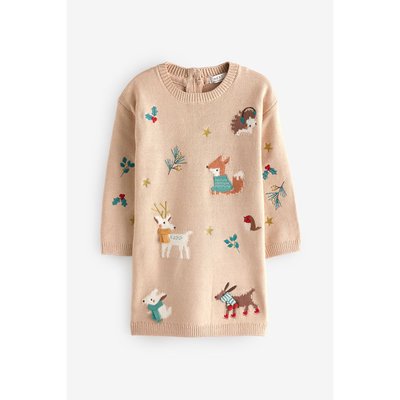Robe pull à personnage de noël NEXT