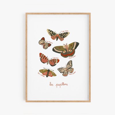 Lepidoptera, affiche, porte-affiche 30x40cm COTTON BIRD