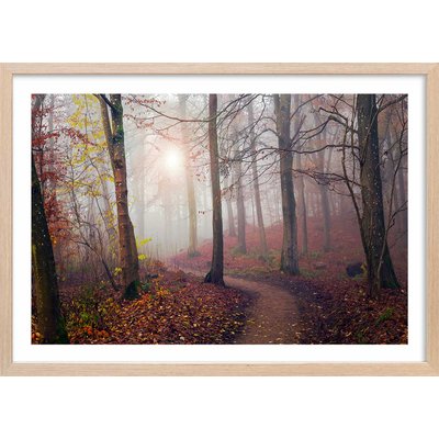 Affiche l'arbre et l'automne jaune HEXOA