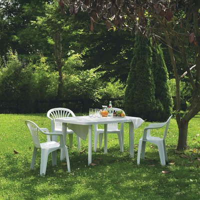 Salon de jardin en résine – Table ovale et 4 fauteuils IMAGIN