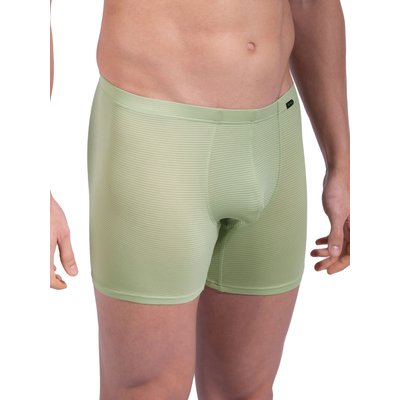 Boxer RED1201 OLAF BENZ