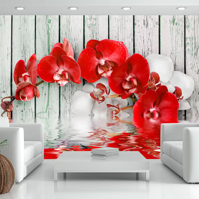 Papier peint intissé panoramique Fleurs Ruby orchid EDEN