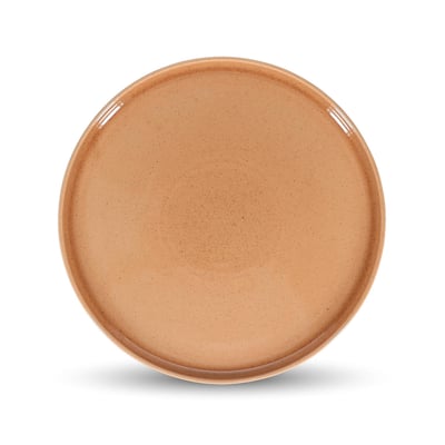 Lot de 2 assiettes BLUSH SALT & PEPPER