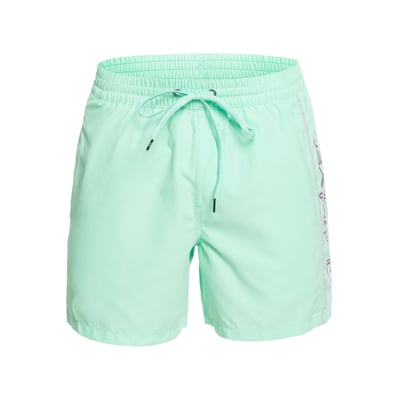 Short de bain EVERYDAY VERT 16" QUIKSILVER