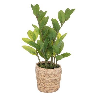Zamioculcas artificiel avec pot naturel ATMOSPHERA