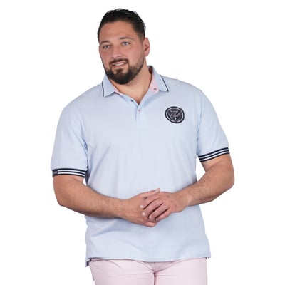 Polo en coton ciel uni pourvu d'une coupe droite et d'un col boutonné RUCKFIELD