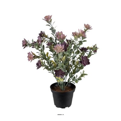 Succulente fleurie factice en pot cactée Vio ARTIFICIELLES