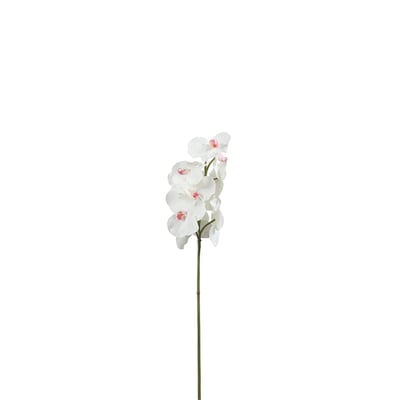 Tige d'orchidée artificielle H50 SIA