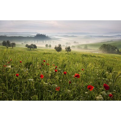 Tableau nature printemps toscan HEXOA