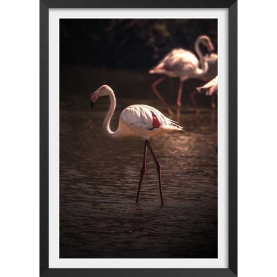 Affiche flamingo in miami HEXOA