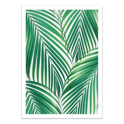 Affiche d’art 50 x 70 cm - Palm leaves - Gal Design WALL EDITIONS