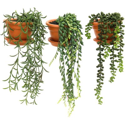 Plantes artificielles en pot terracotta (Lot de 3) JARDINDECO