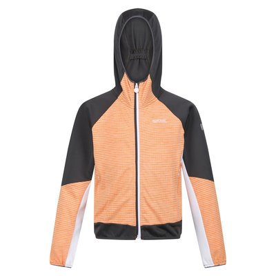 Veste softshell PRENTON REGATTA