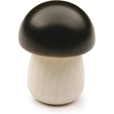 Bolet ERZI