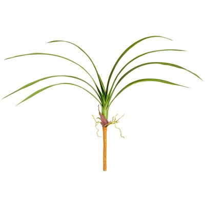 Branche de feuilles de cymbidium artificielle H80 SIA DECO