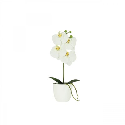 Orchidée artificielle blanche 35cm LIGNE DECO