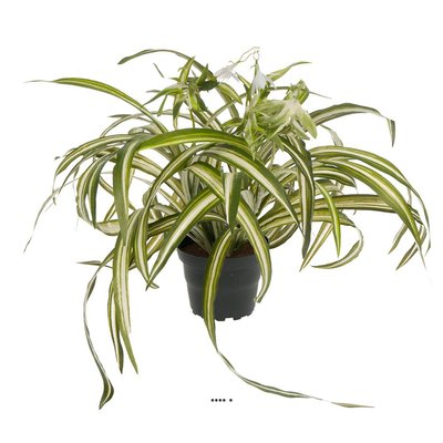 Chlorophytum plante artificielle en pot H 35 ARTIFICIELLES