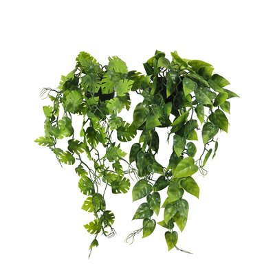 Plante succulente retombante artificielle 50cm lot de 2 LIGNE DECO