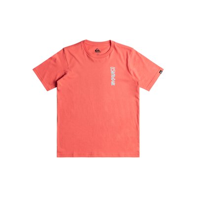 T-shirt à manches courtes WARPED QUIKSILVER
