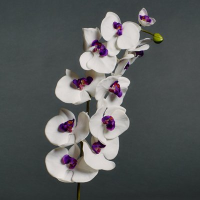 Tige d'orchidée phalaenopsis artificielle H100 SIA DECO