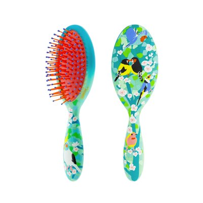 Petite brosse à cheveux  Ladypop Small PYLONES